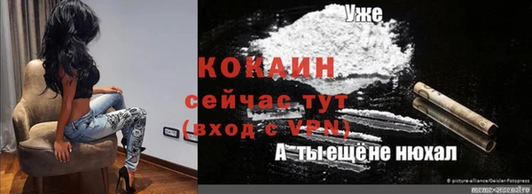 бошки Алексин