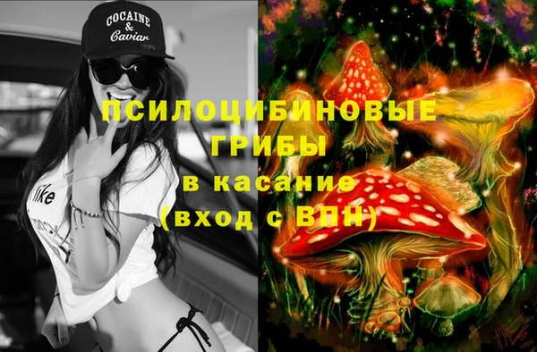 бошки Алексин